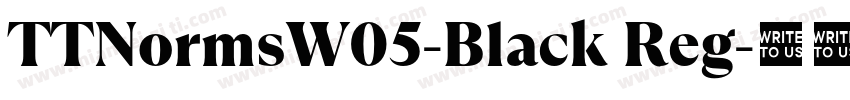 TTNormsW05-Black Reg字体转换